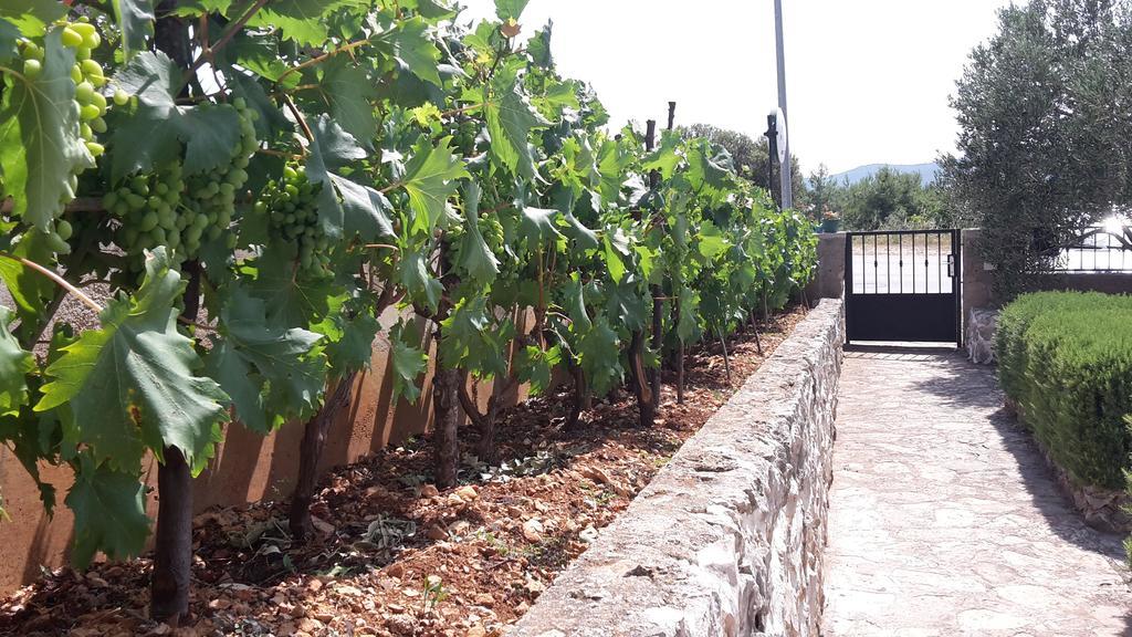 Amadrian Apartments Šibenik Kültér fotó