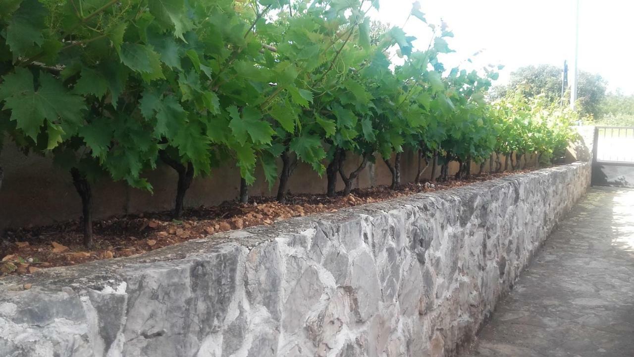 Amadrian Apartments Šibenik Kültér fotó