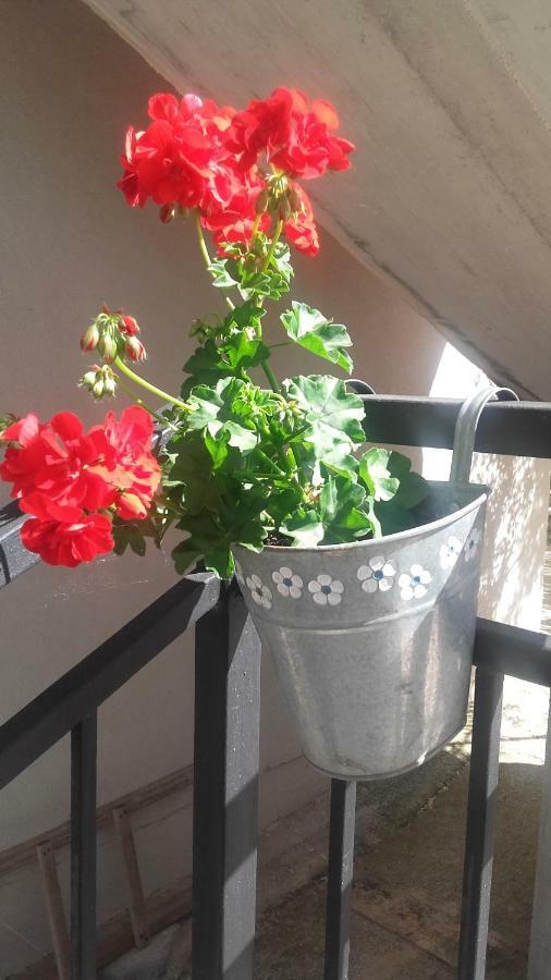 Amadrian Apartments Šibenik Kültér fotó